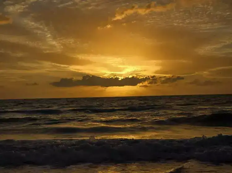 698a0afe6a554f24e687ef1e