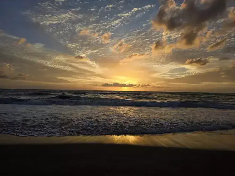 698a0afe6a554f24e687ef26