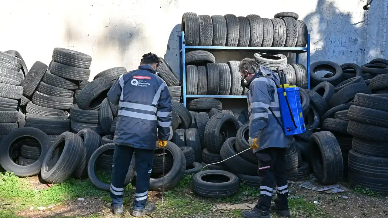 antalyada-hasere-ordusuna-kis-darbesi