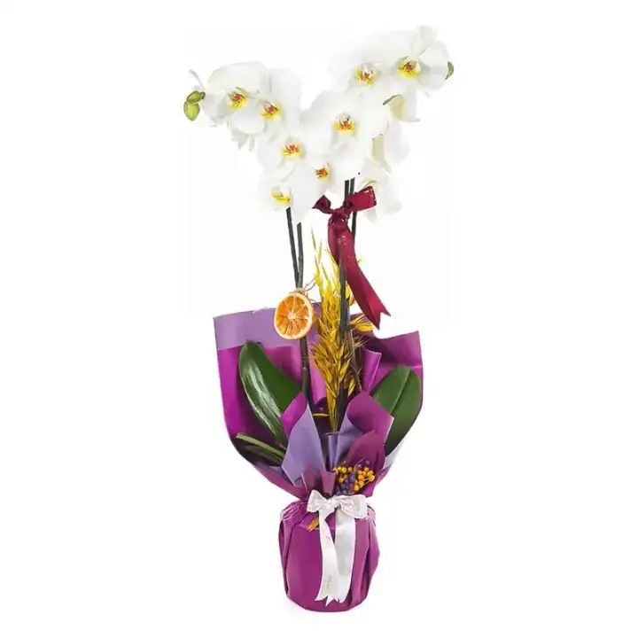 sevgililer-gunu-yaklasti-antalyada-2026-cicek-fiyatlari-da-cicek-acti