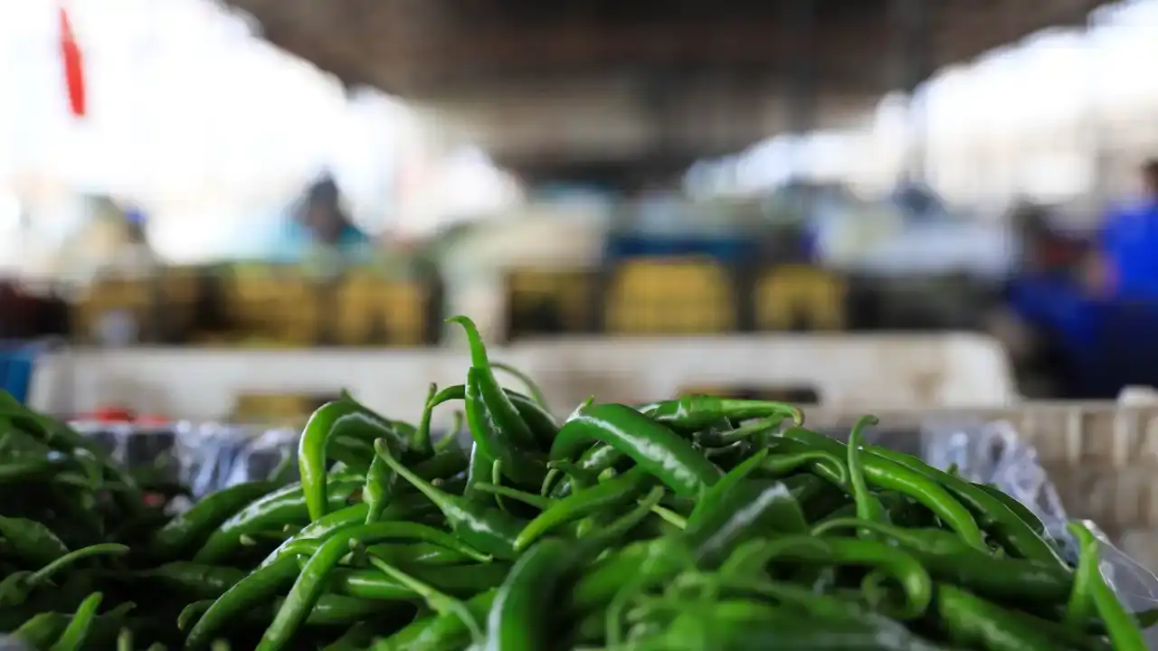 antalyada-ihracat-sampiyonu-degismedi-yine-listenin-basinda-2