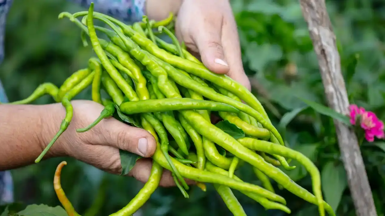 antalyada-ihracat-sampiyonu-degismedi-yine-listenin-basinda-2