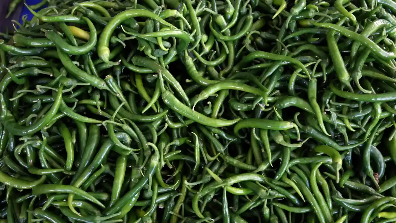 antalyada-ihracat-sampiyonu-degismedi-yine-listenin-basinda-2