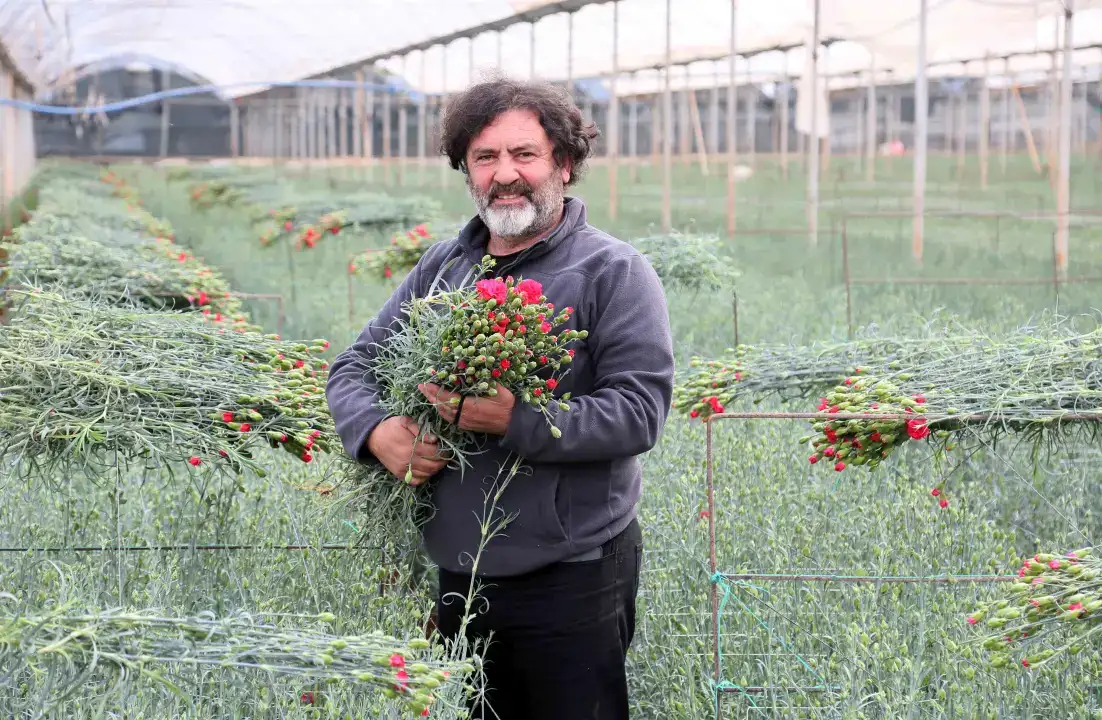 antalyadan-160-milyon-dolarlik-cicek-rekoru