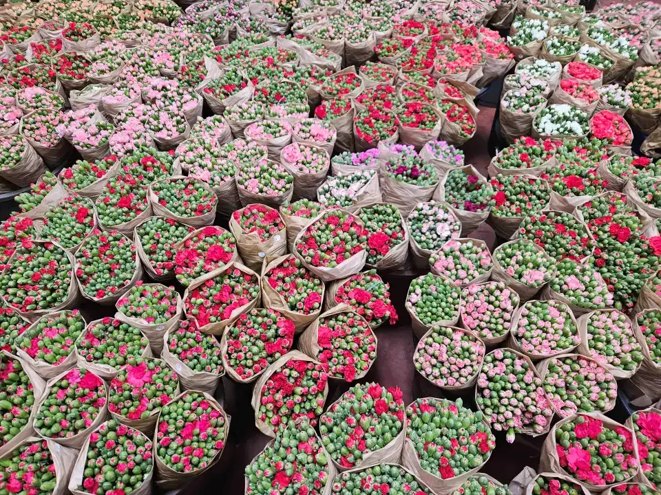 antalyadan-160-milyon-dolarlik-cicek-rekoru