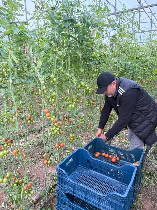 domates-kasalarinda-ngolo-kante-imzasi