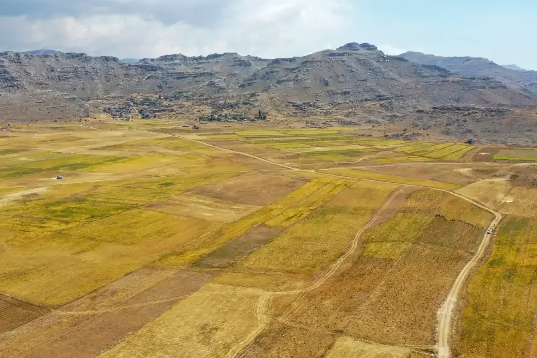 1800-rakimda-yetisiyor-gazipasa-cimbiti-nohutu-icin-kritik-hamle