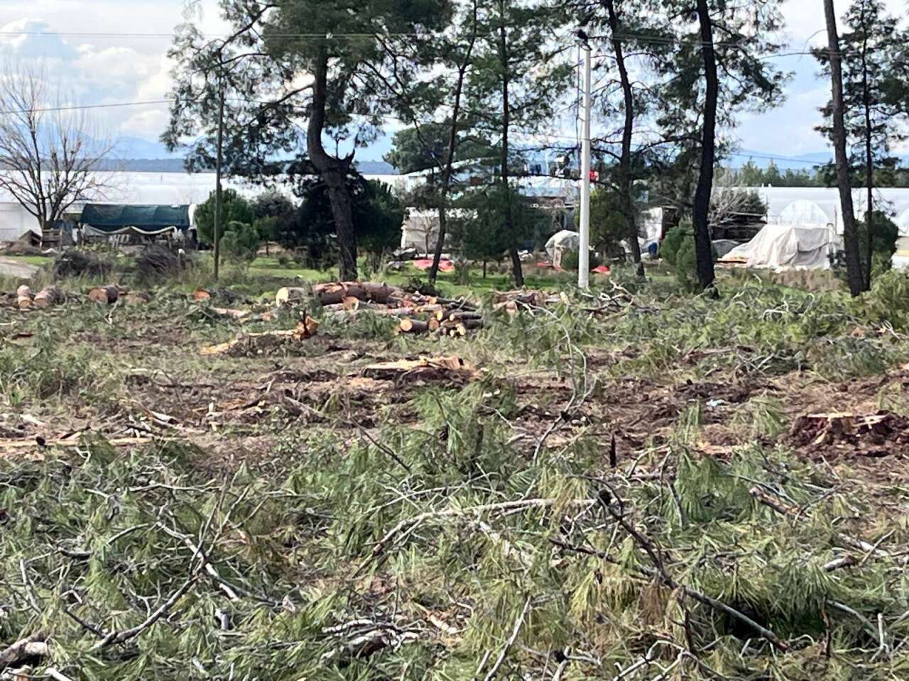 631464650-25990936970522771-8622310713818084681-n