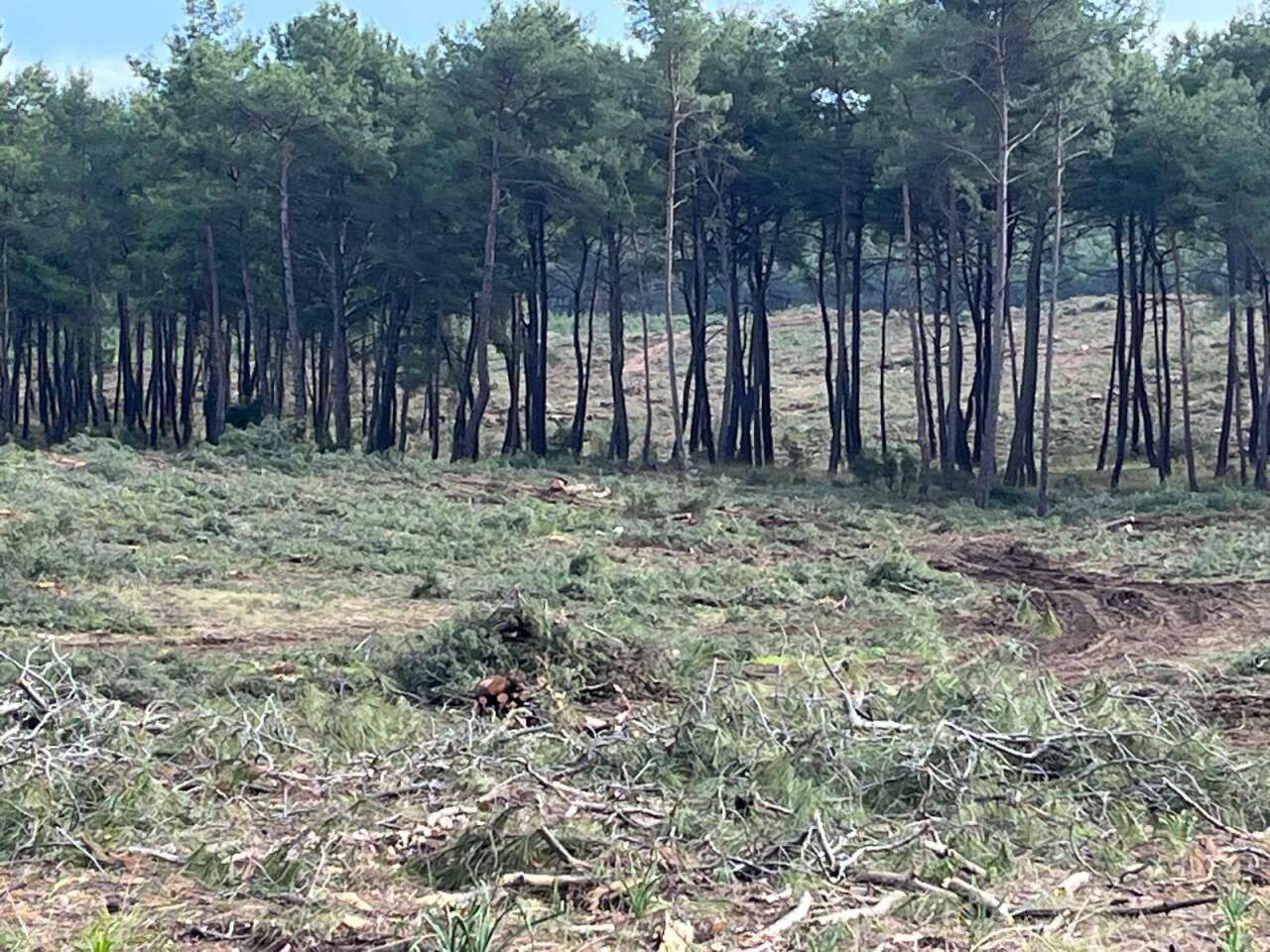 633991747-25990937660522702-4437607940977846053-n