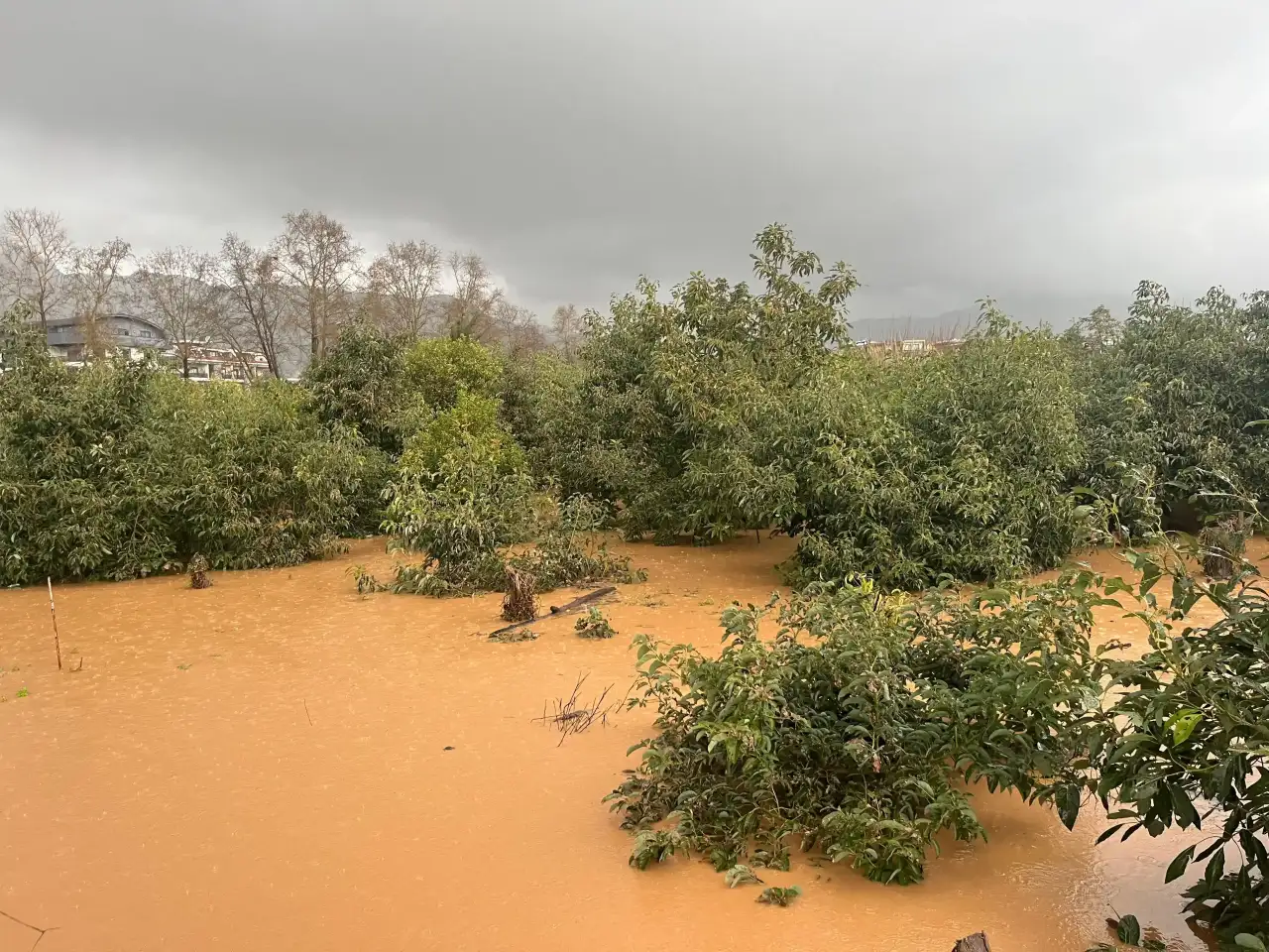 alanya-sulara-gomuldu-dereler-tasti-sel-evleri-ve-tarim-arazilerini-yuttu