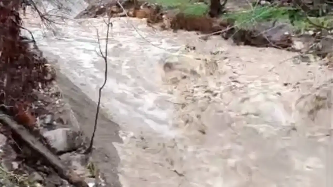 ispartanin-asagi-gokdere-koyunu-sular-yuttu