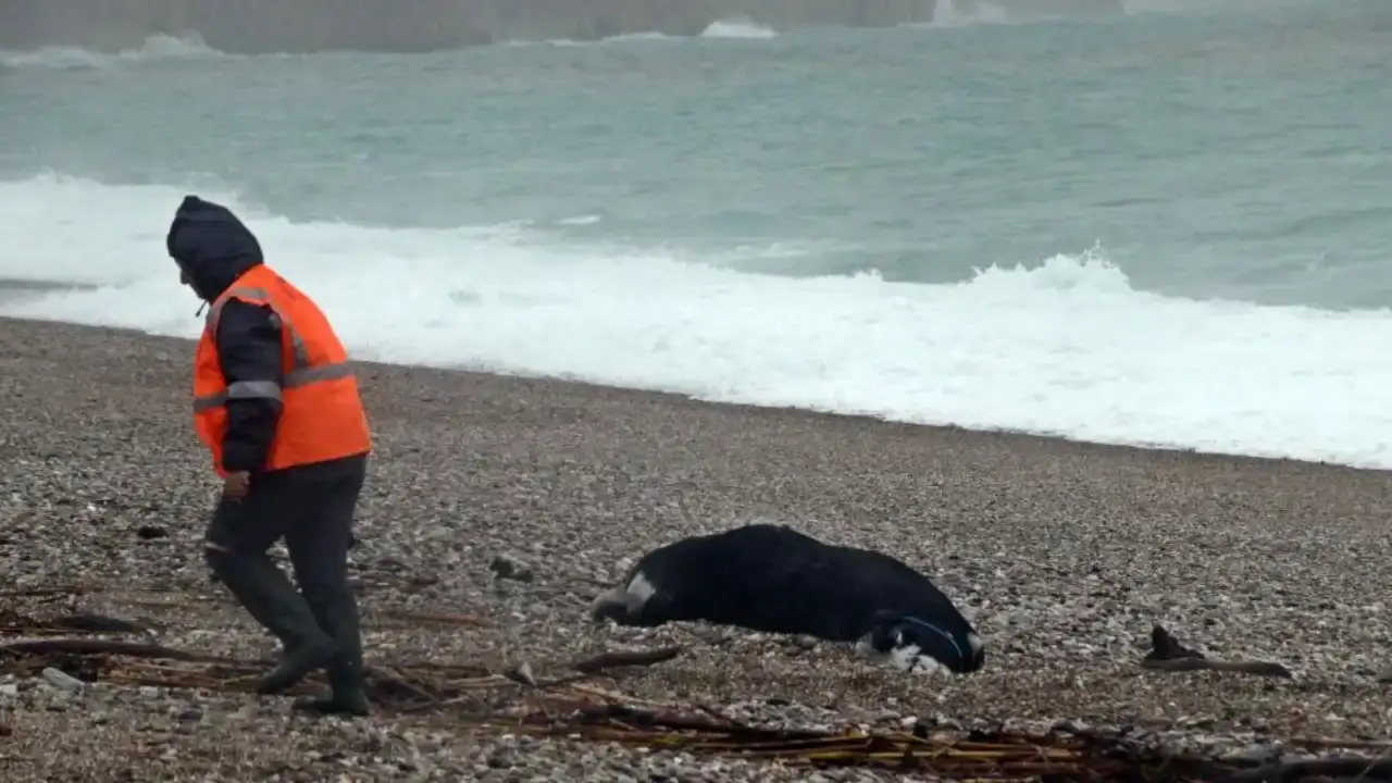 sari-kod-sonrasi-saganak-yagis-antalyayi-vurdu-yollar-gole-dondu