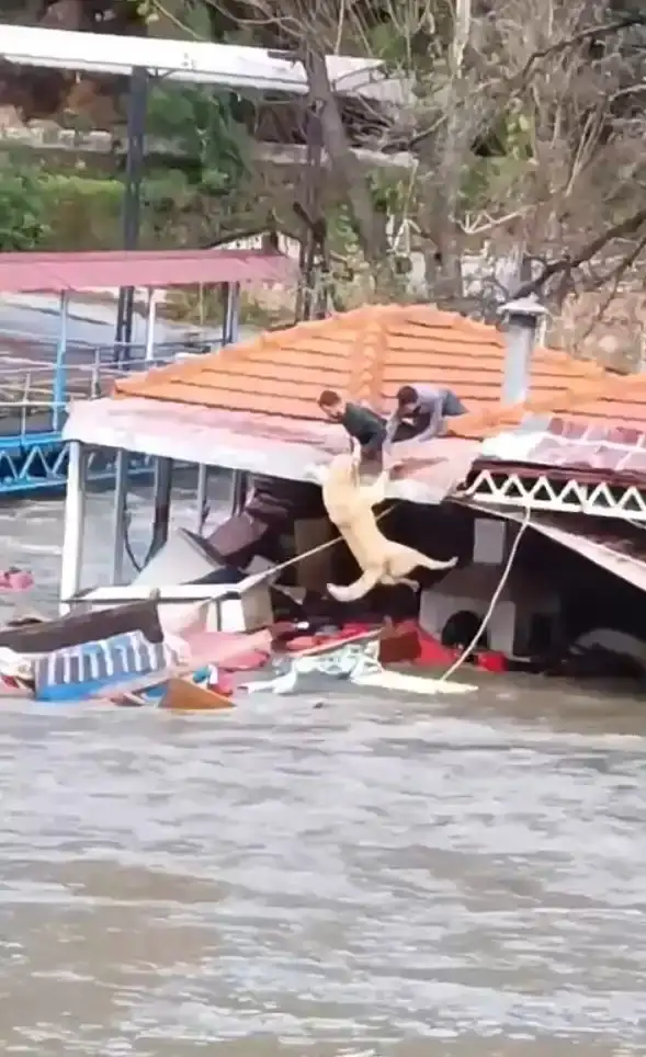 alanyada-sel-felaketi-dim-ve-oba-cayi-tasti-isletmeler-yikildi