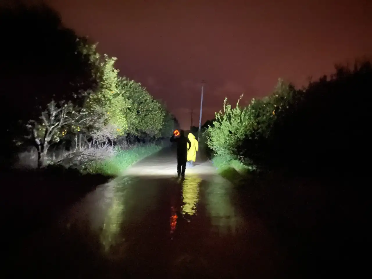 serikte-irmak-tasti-kopekler-mahsur-kaldi