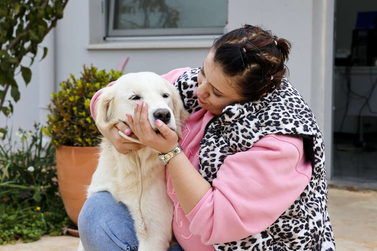 antalyada-can-dostlar-yeni-sahiplerini-bekliyor
