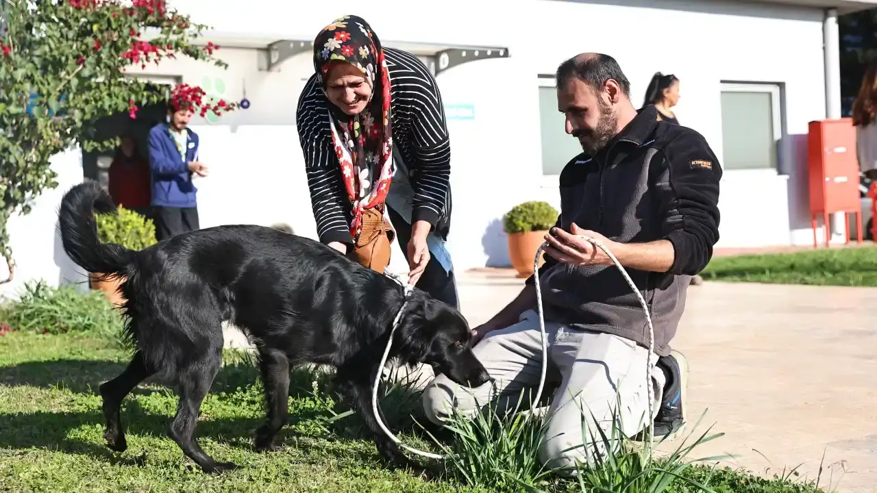 antalyada-can-dostlar-yeni-sahiplerini-bekliyor