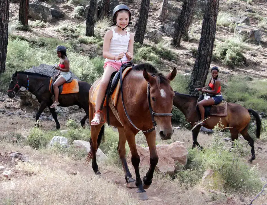 atlar-esekler-ve-katirlar-tarih-mi-oluyor-20-yilda-rekor-dusus