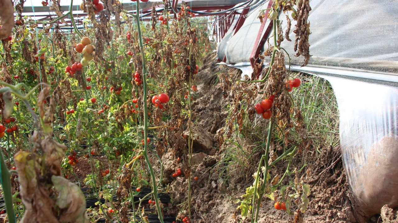 kumlucada-yagisin-faturasi-agir-oldu-ortakoy-ve-saricasuda-heyelan-alarmi