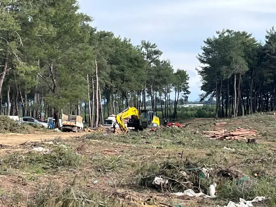 aksu-kent-konseyinden-kursunlu-ormani-aciklamasi-kesim-durduruldu-mu