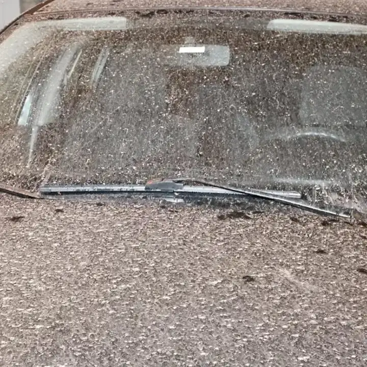 antalya-icin-toz-tasinimi-uyarisi-valilikten-saat-verildi