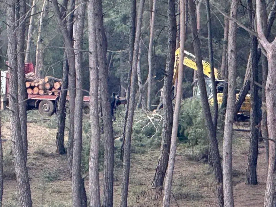 kursunluda-gizli-kesim-isyani-rakam-3-katina-cikti-gozler-yarinki-randevuda