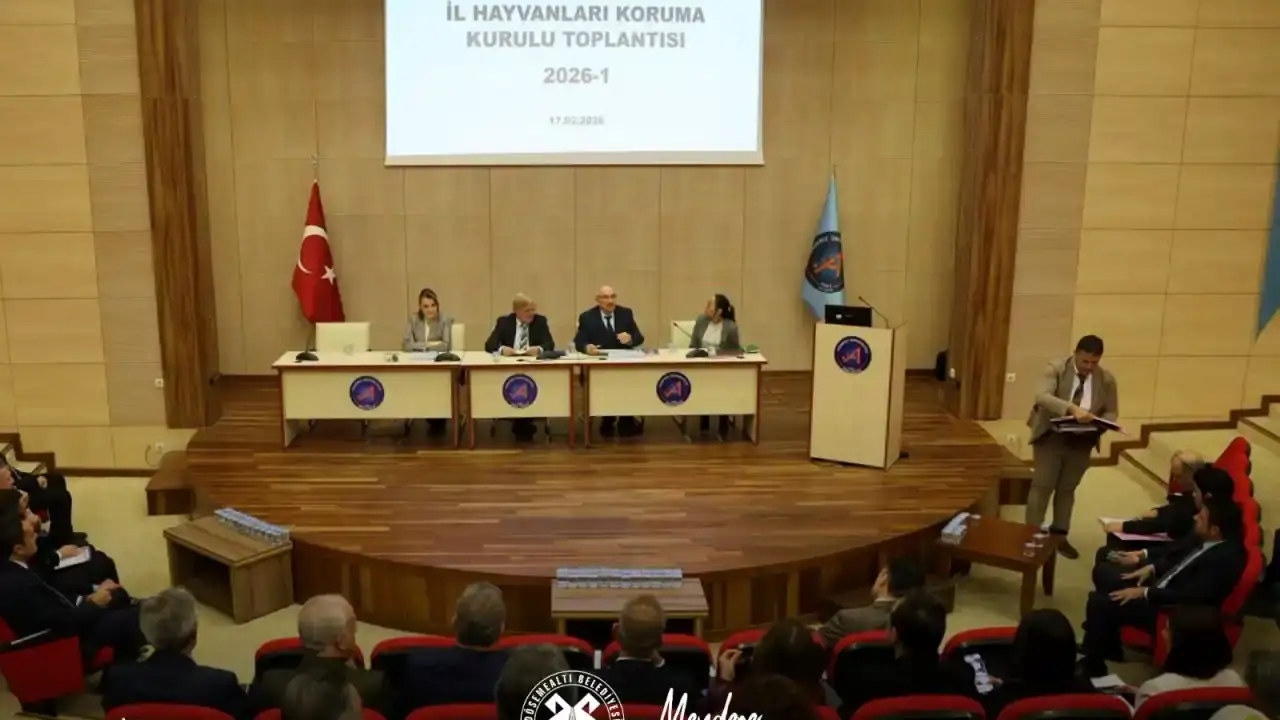 antalyada-sokak-hayvanlari-icin-ortak-akil