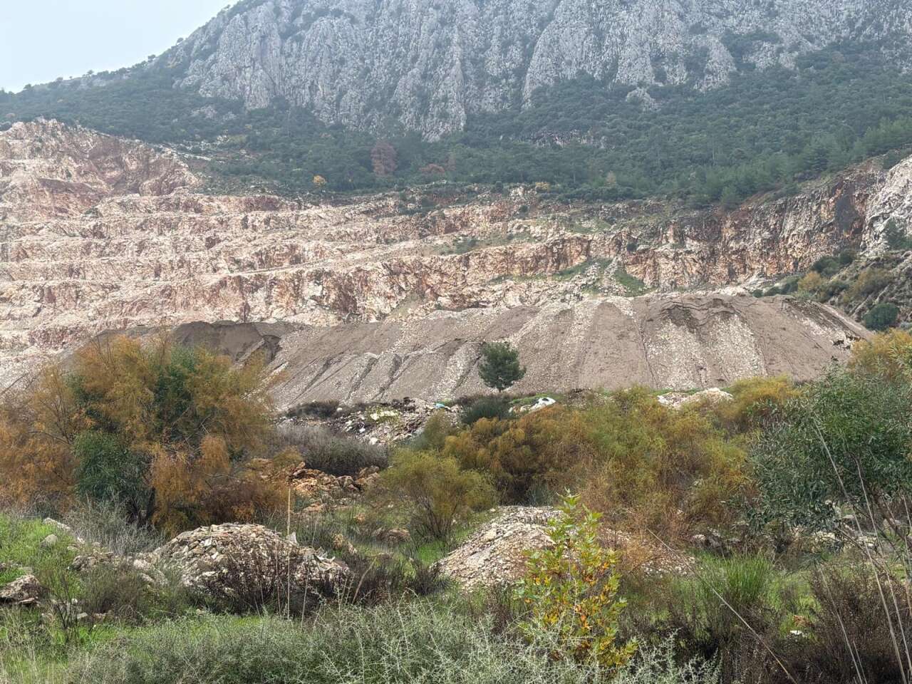 whatsapp-image-2026-01-15-at-18-24-35-6