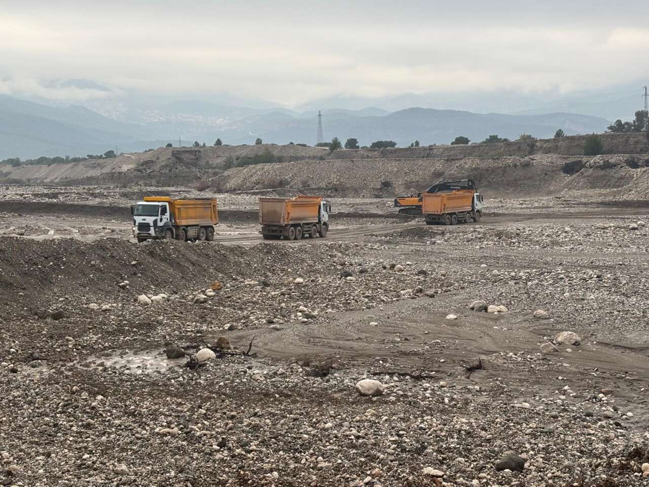 whatsapp-image-2026-01-15-at-18-24-36-5