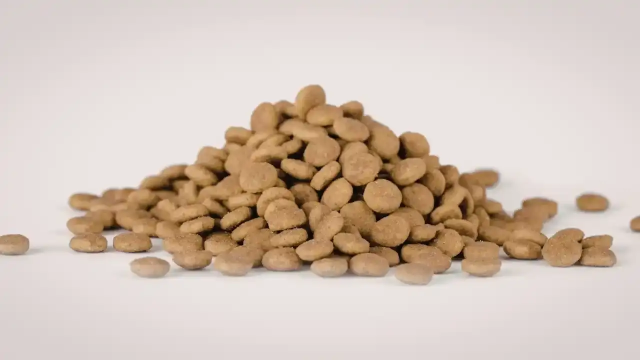 anette-hammadde-bollugu-antalyada-kedi-kopek-mamasi-yoklugu