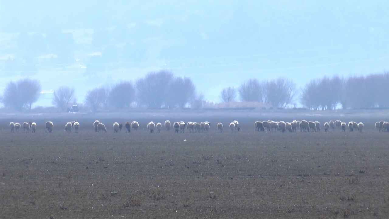 avlan-golunde-beklenen-tablo