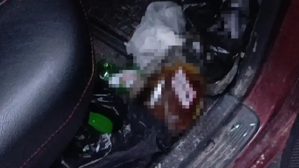 manavgatta-186-promil-alkollu-surucu-palmiye-agacini-ortadan-ikiye-boldu