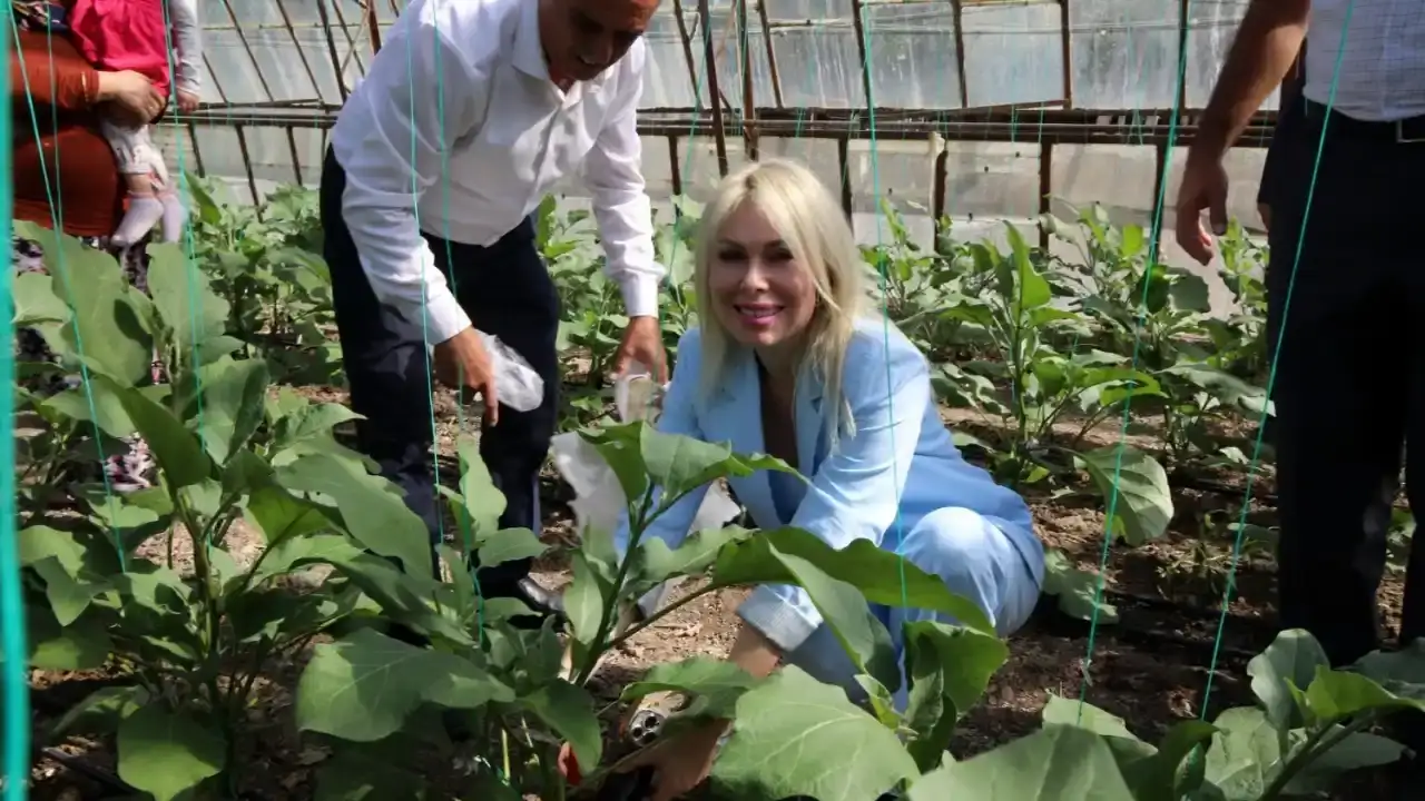 rektor-ozkan-belekte-kesilen-agaclari-gordukce-icim-aciyor