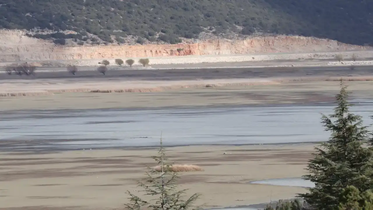 rektor-ozkan-belekte-kesilen-agaclari-gordukce-icim-aciyor