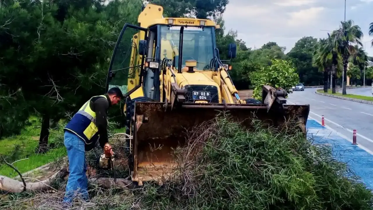 yagislar-durdu-manavgati-yeniden-ayaga-kaldirma-sureci-basladi