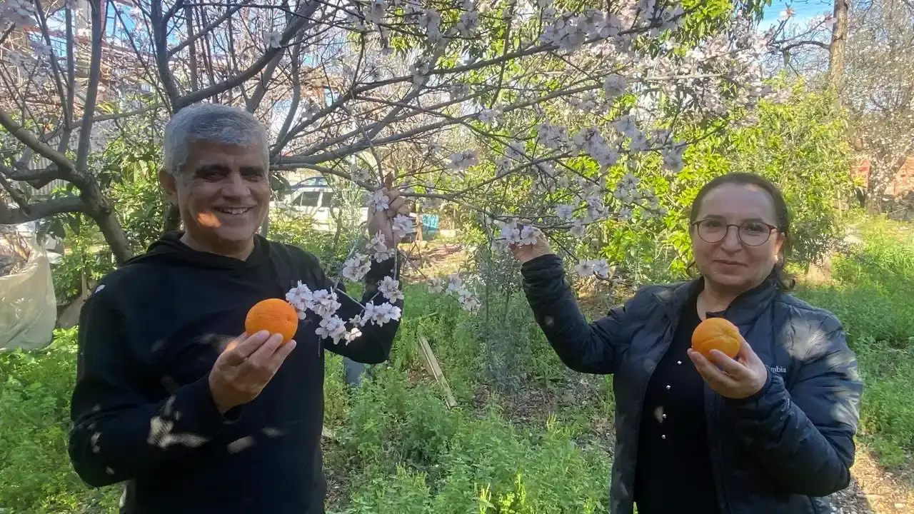 antalyada-badem-agaclari-cicek-acti-ureticide-don-korkusu