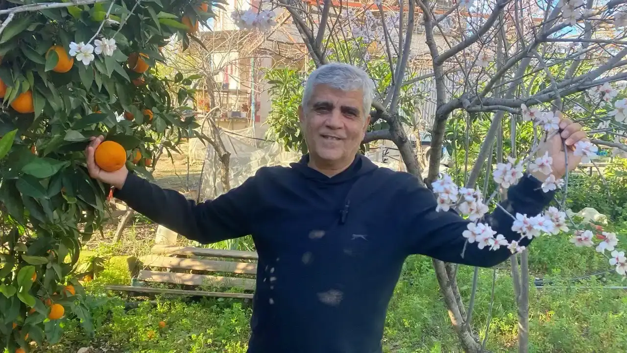 antalyada-badem-agaclari-cicek-acti-ureticide-don-korkusu