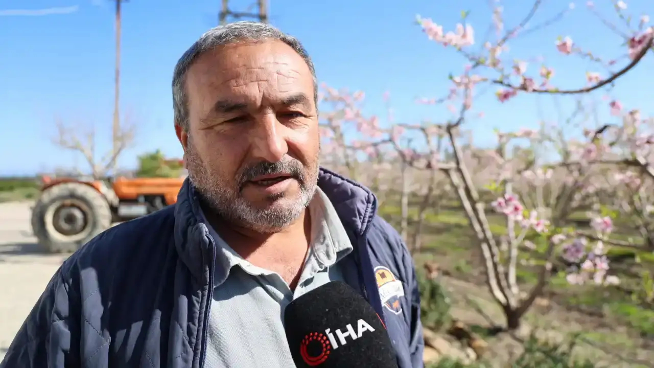 adanada-yalanci-bahara-kanan-seftali-agaclari-cicek-acti