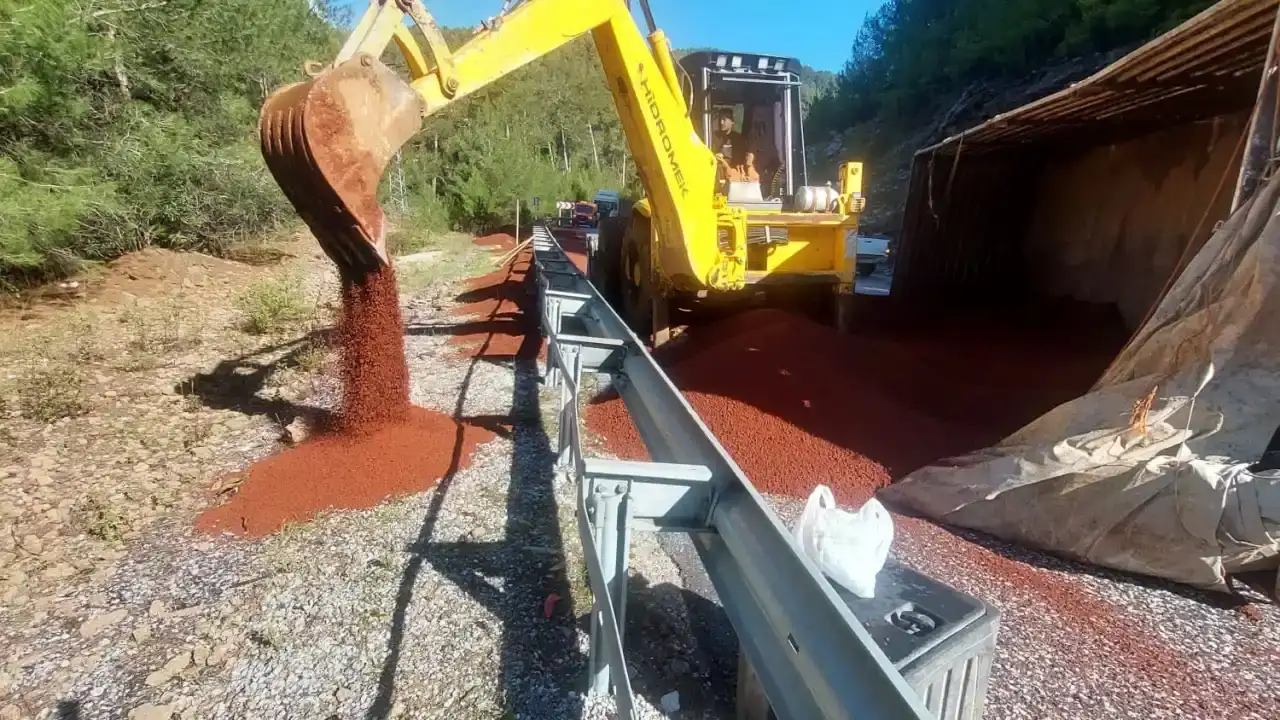 aksekide-tir-devrildi-peyzaj-malzemeleri-yola-sacildi