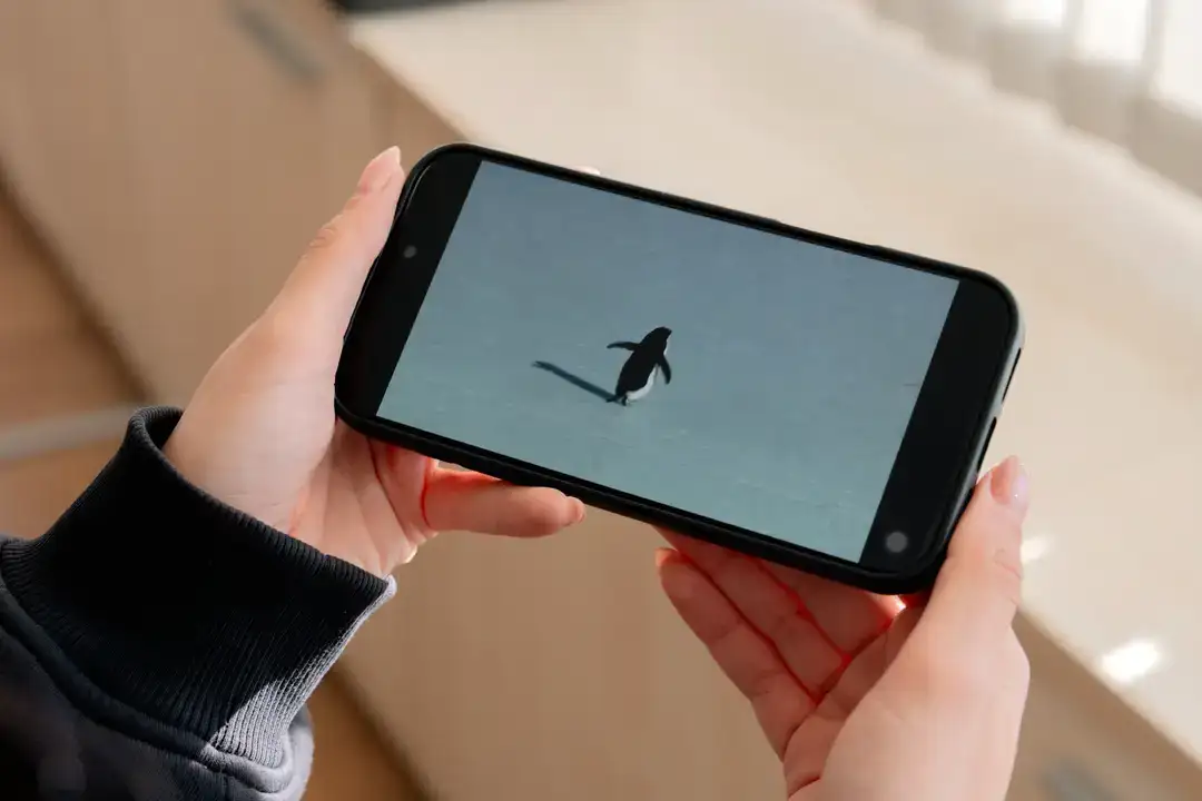 akdeniz-universitesinden-carpici-analiz-nihilist-penguen-aslinda-biziz