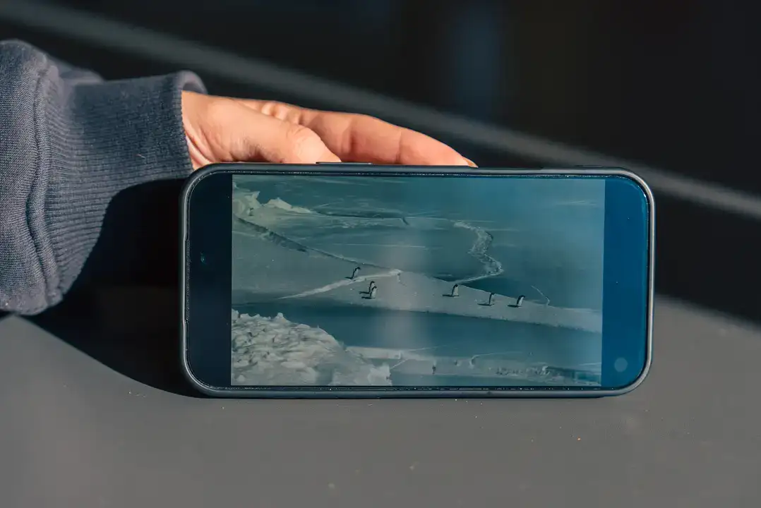 akdeniz-universitesinden-carpici-analiz-nihilist-penguen-aslinda-biziz