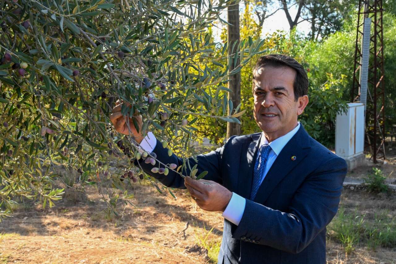 antalya-zeytinyaginda-altin-cag-vizyonu