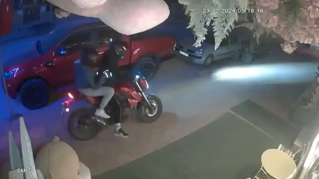 antalyada-bir-bu-calinmamisti-pelus-ayiyi-caldilar