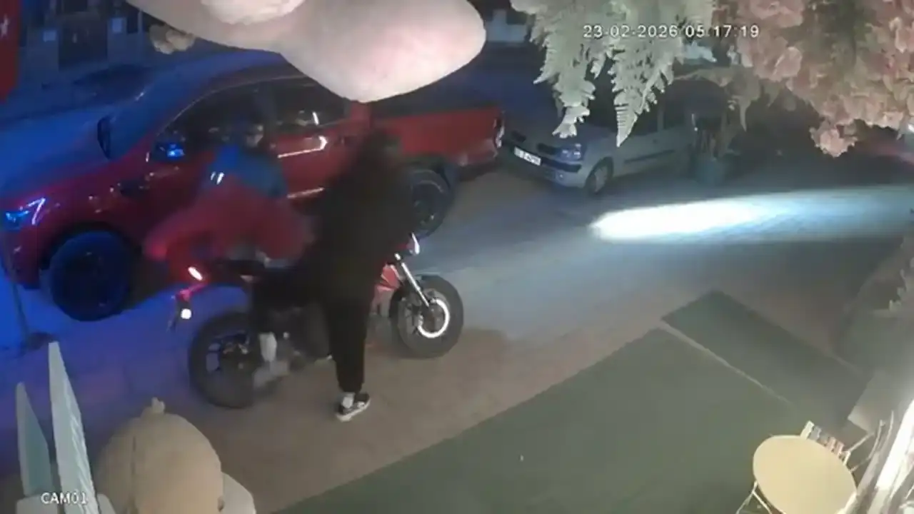 antalyada-bir-bu-calinmamisti-pelus-ayiyi-caldilar