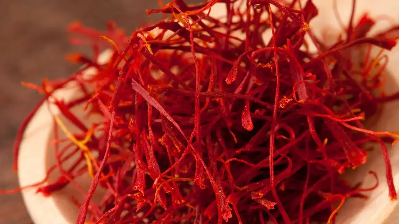 kirmizi-altin-antalyada-korkutelide-safran-uretim-alanlari-denetlendi