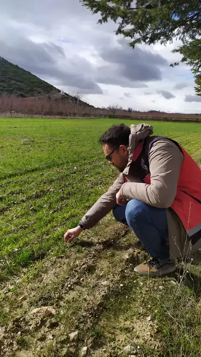 kirmizi-altin-antalyada-korkutelide-safran-uretim-alanlari-denetlendi