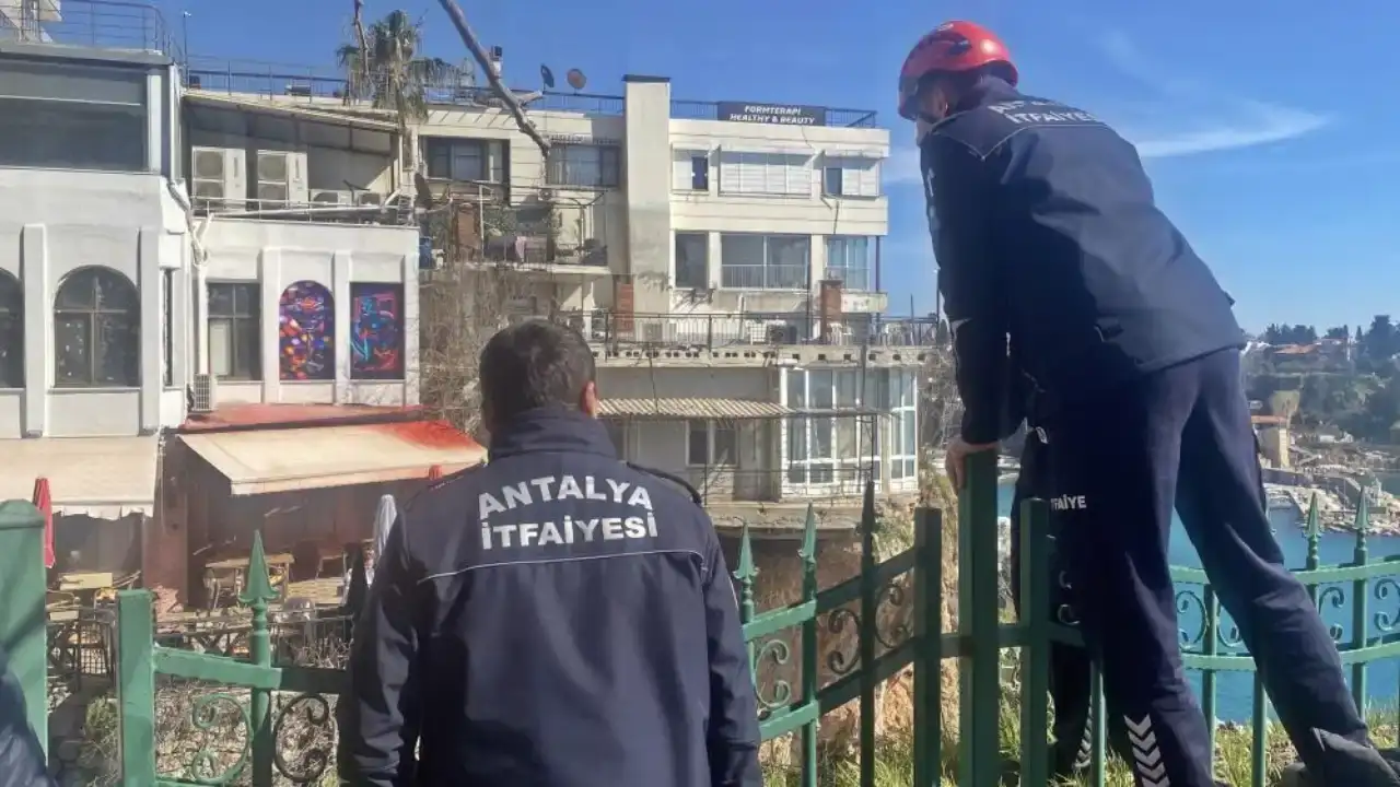 antalyada-30-metrelik-falezlerde-kedi-alarmi-operasyon-baslamadan-bitti