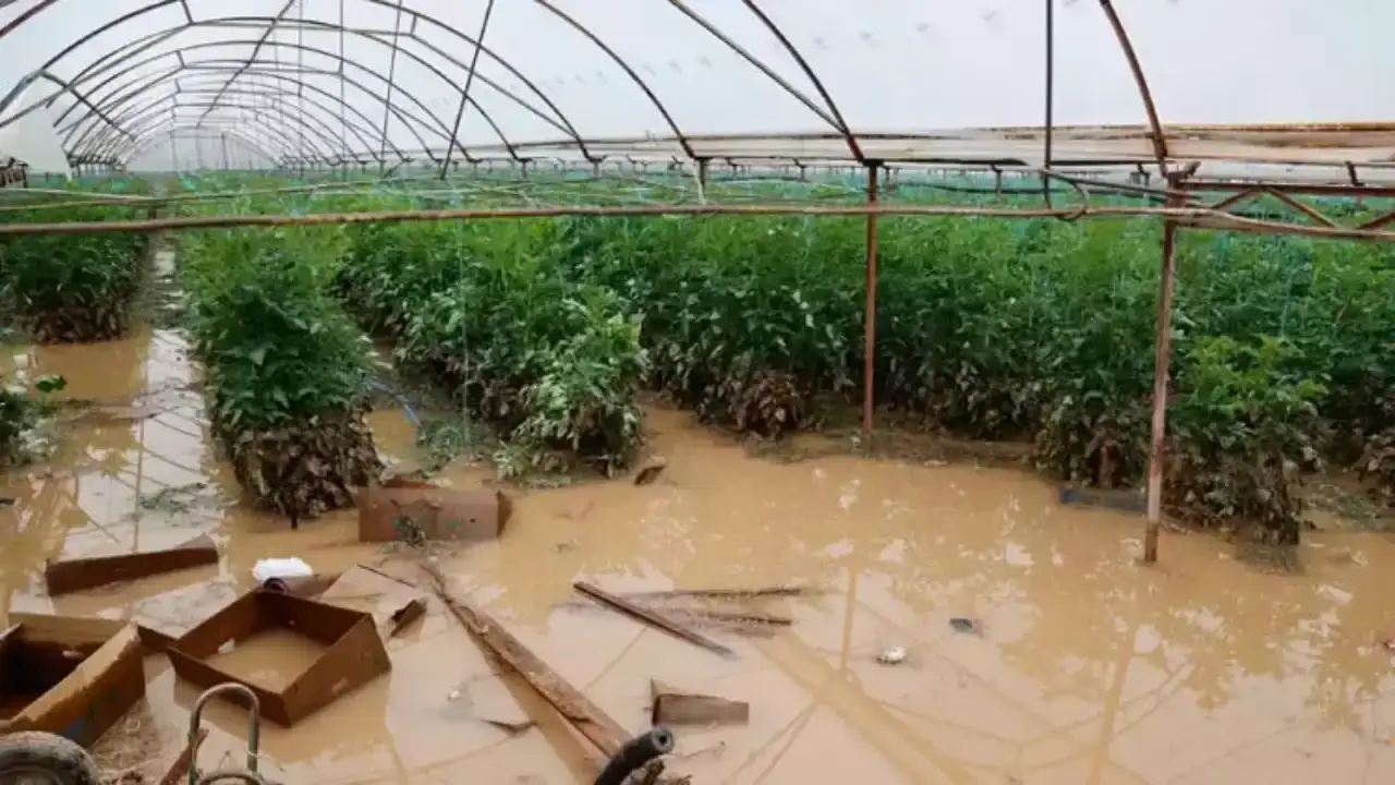 atb-baskani-candir-acikladi-antalyada-14-bin-dekar-tarim-alani-yagistan-etkilendi