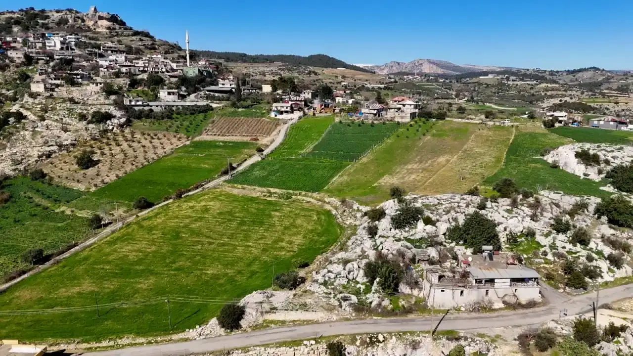 mersinde-nergis-hasadi-basladi