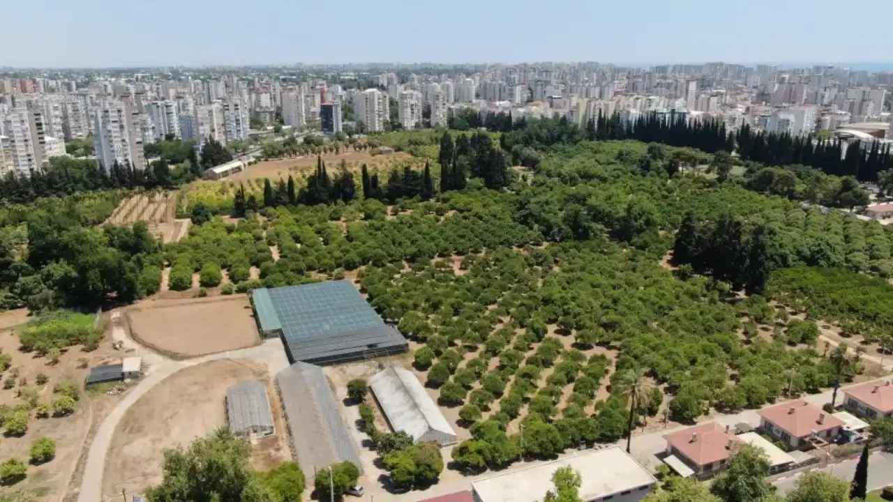 atb-baskani-candir-antalyada-ise-tarim-topraklarinin-yuzde-167si-yok-oldu