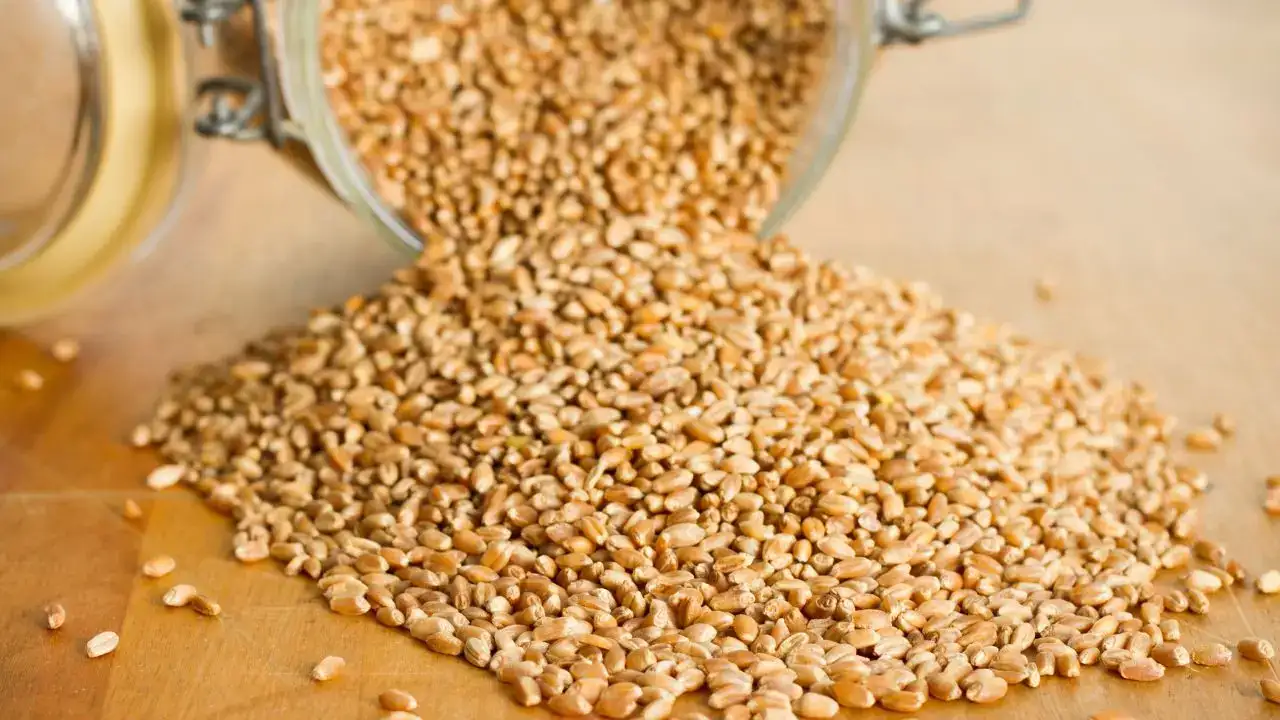 duacidan-kemere-antalya-lezzetlerinden-9